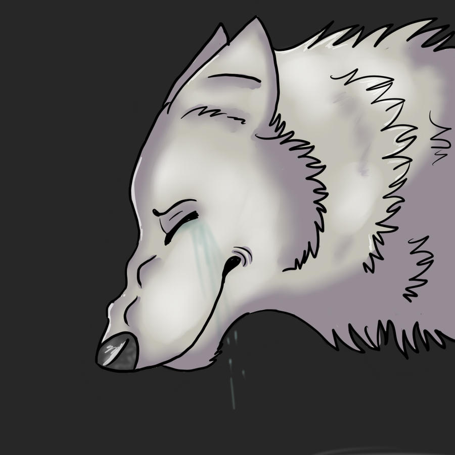 Sad wolf by Bluewolfu on DeviantArt