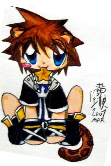 Leopard Sora