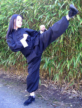 Kung Fu Uniform