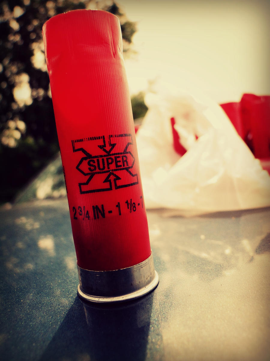 Shell by twinklefart on DeviantArt