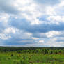 Big blue sky with a clouds