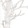 Contour Tree Sketch