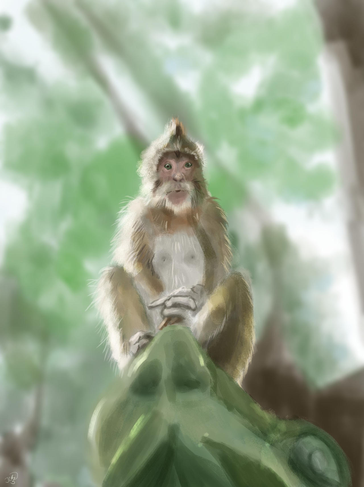 Deviantart 2007 Monkey Monkey by jabd on DeviantArt