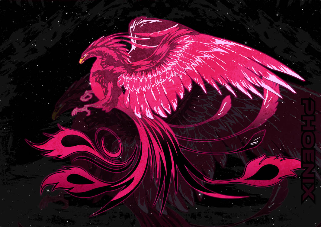 Phoenix | Vector photoshop by EmDee08 on DeviantArt