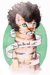 Jimi the cat