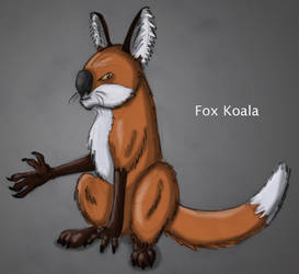 Fox Koala