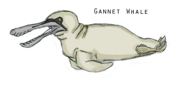 Gannet Whale