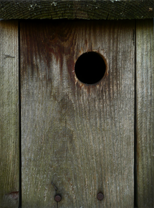 Nest box