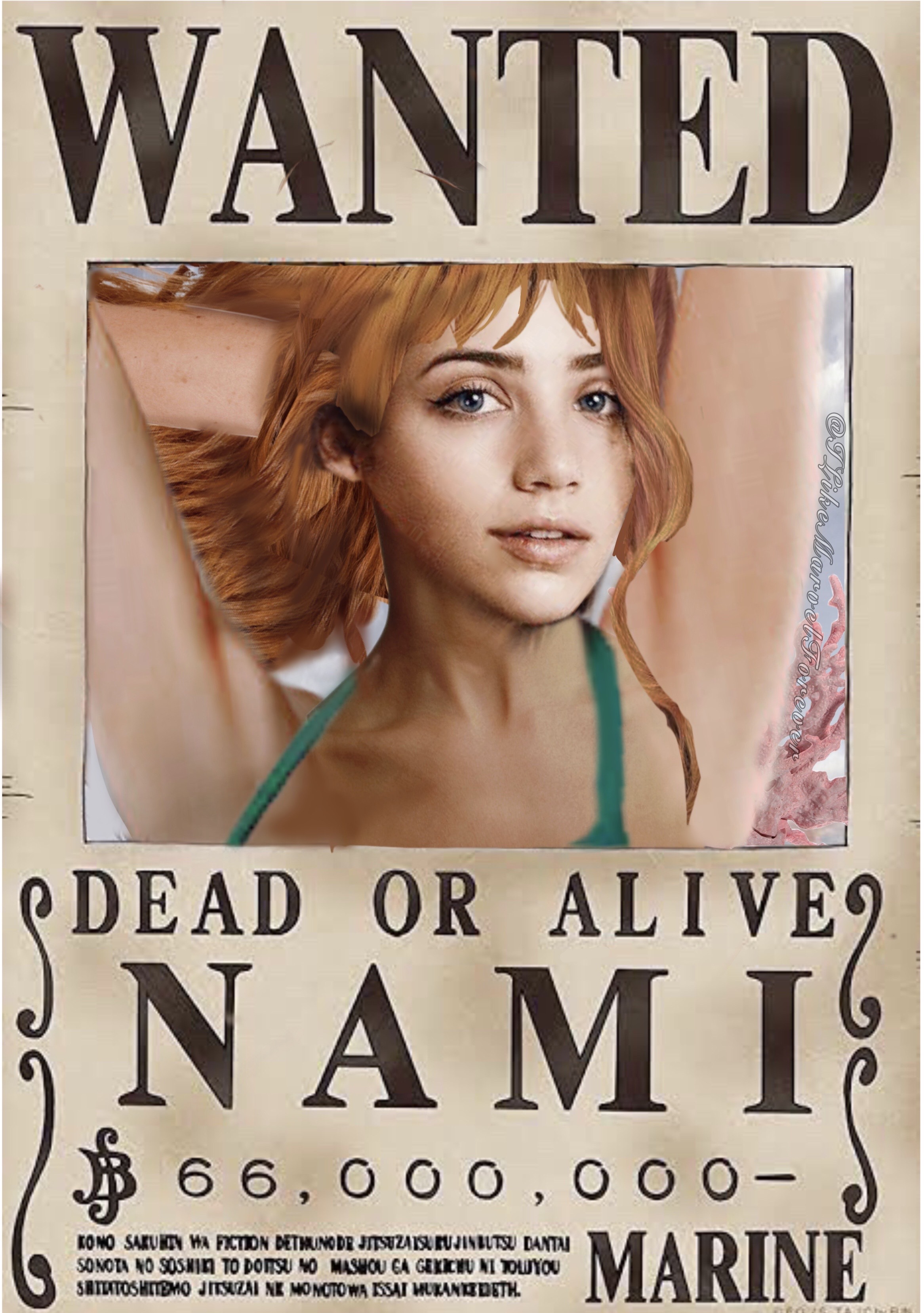Bounty posters in One Piece live-action