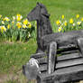 The wooden Horse