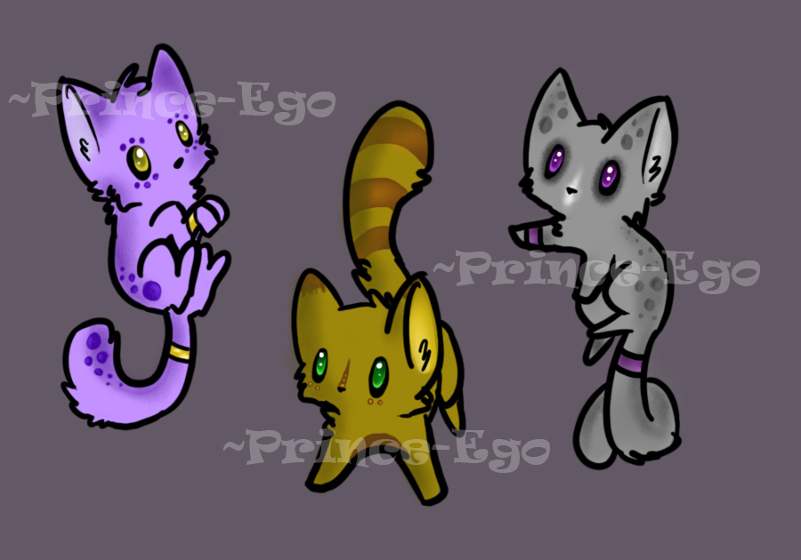 Kittens adoptables [CLOSED] ON SALE!!