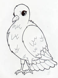 Coloring Page - Dove