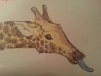 giraffe