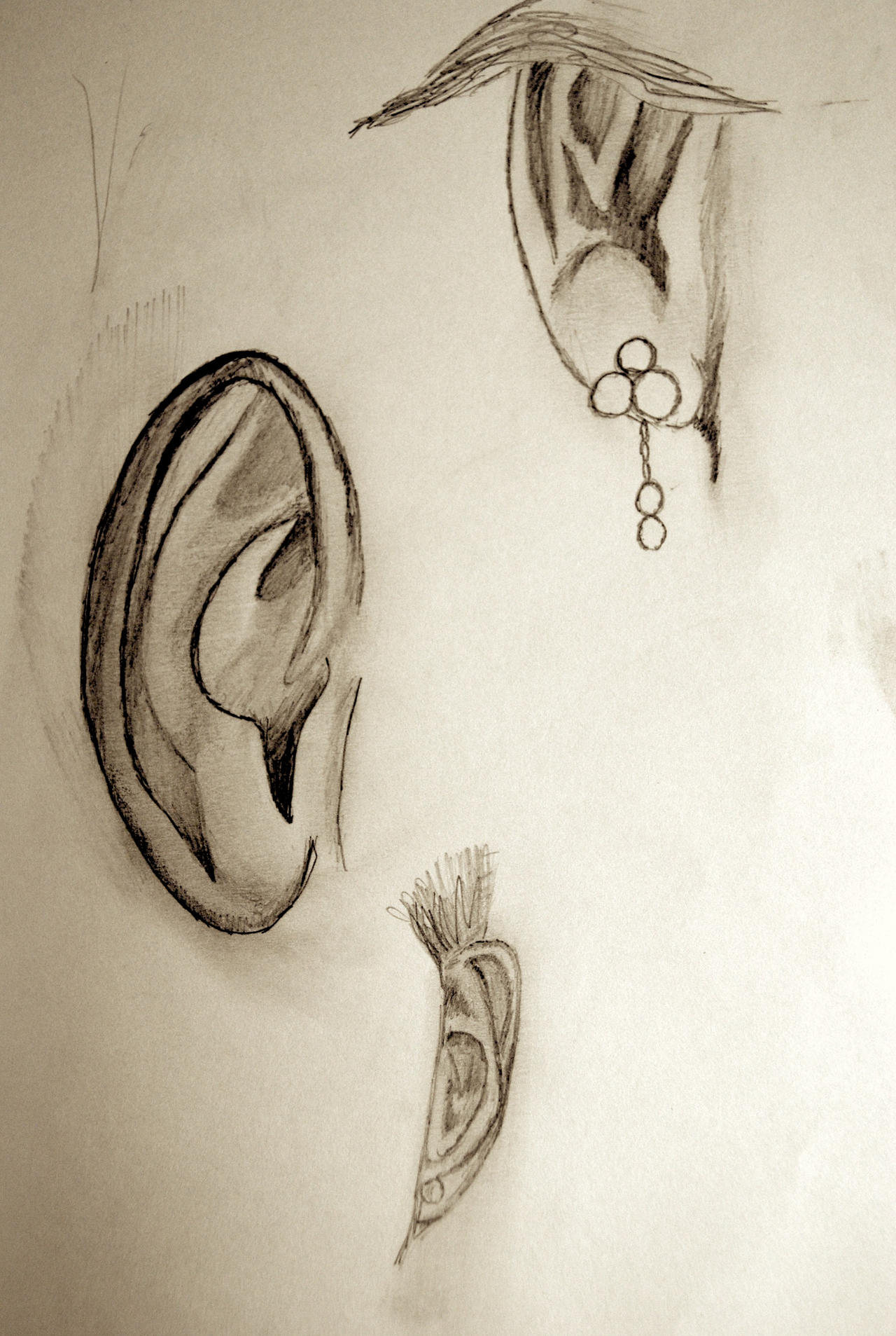 ear study by dummydave2000 on DeviantArt