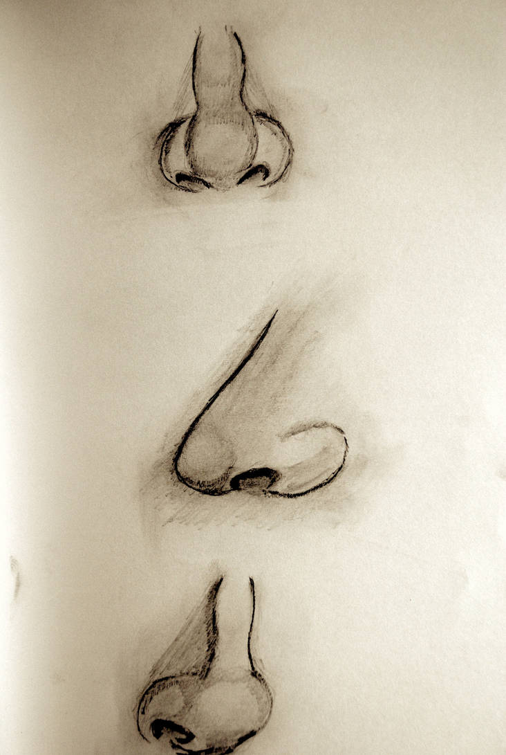 nose study by dummydave2000 on DeviantArt