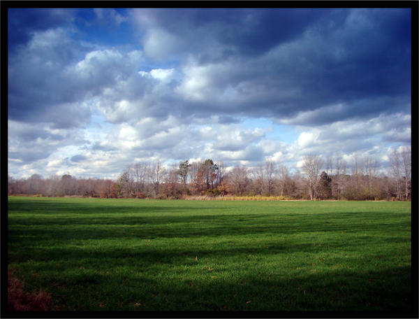 Field of Dreams