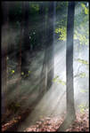 Light Lines by WVUARTIST