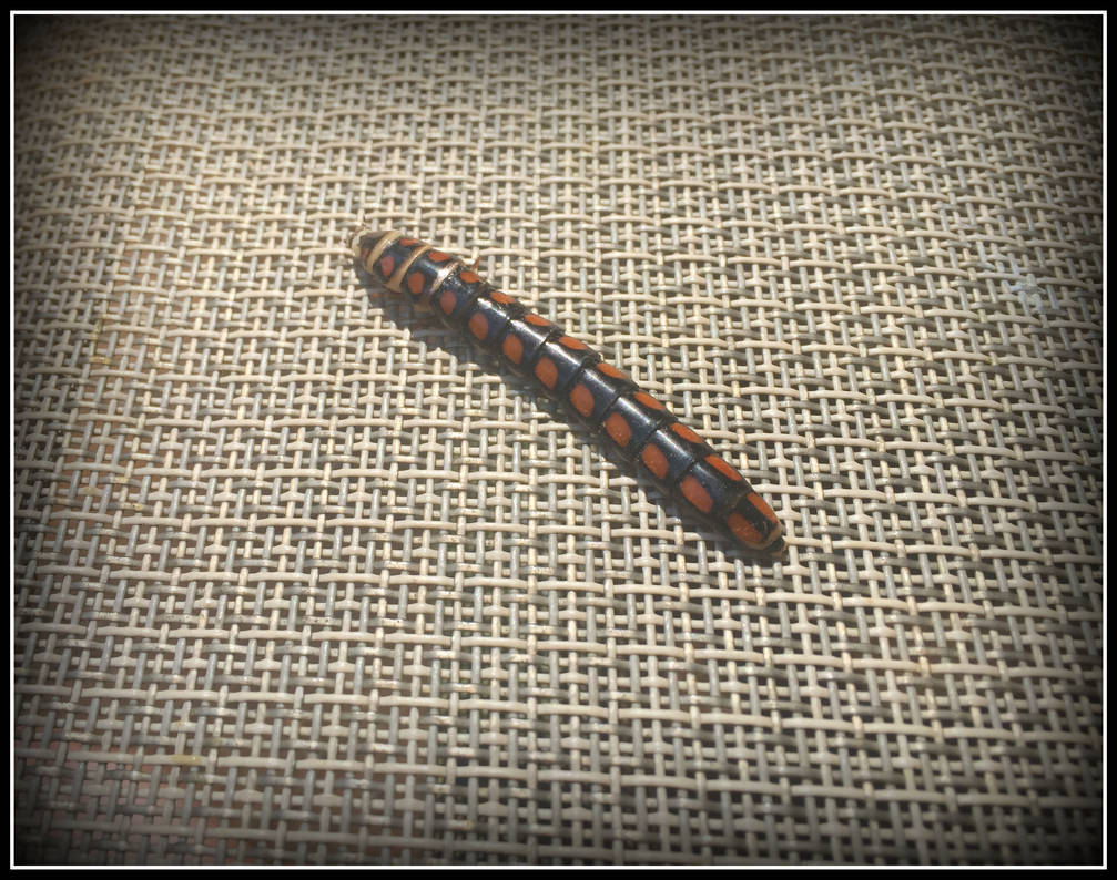 RailRoad Worm by WVUARTIST on DeviantArt