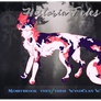 Mossybrook | WindClan Warrior [HF]