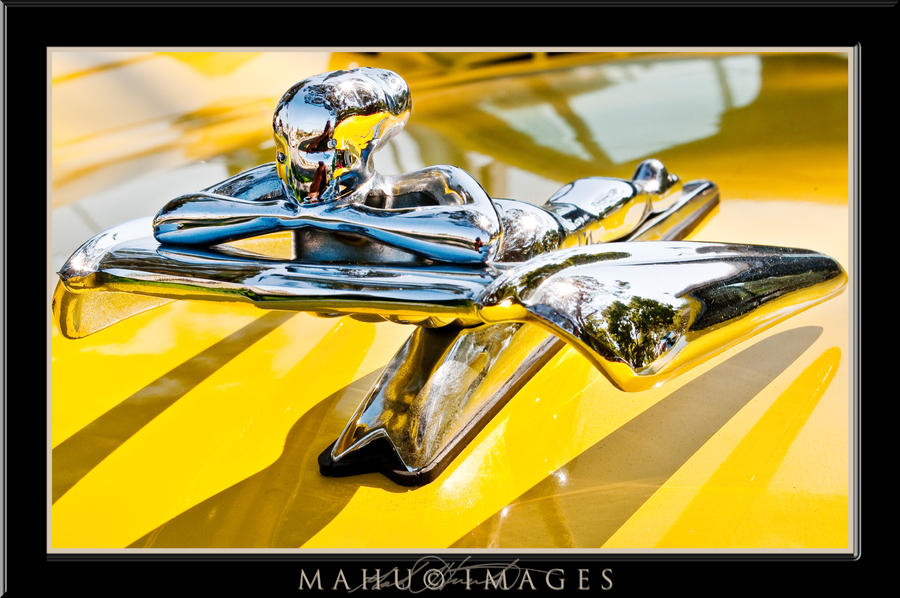 Metropolitan Hood Ornament