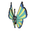 Vivillon-savannah