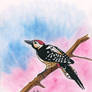 Woodpecker