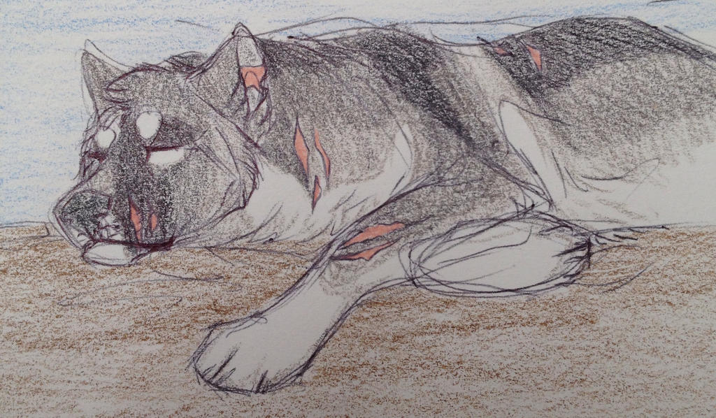 Sleepy Amoux