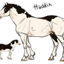 087 The Haddix Hex