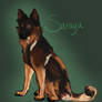 Sarayu