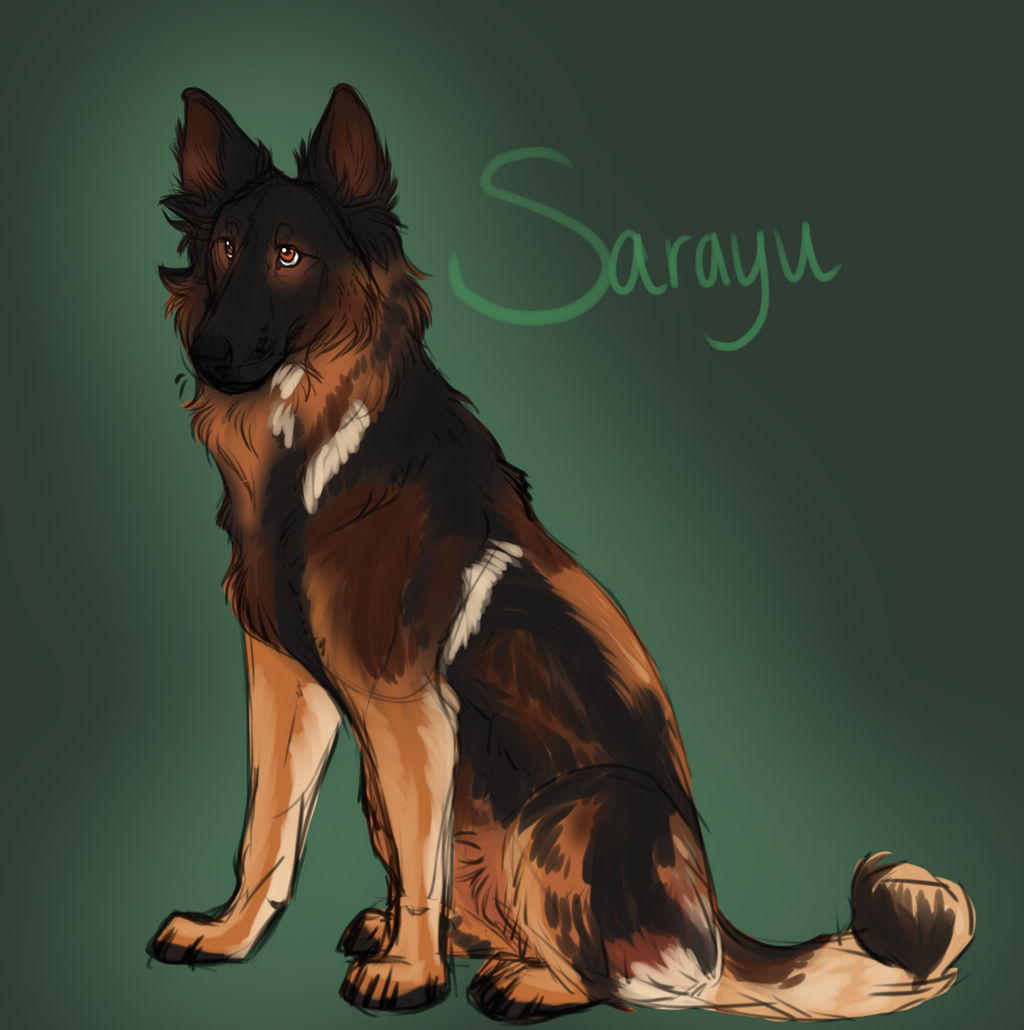 Sarayu