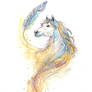 Horse and feather illustration pencil drawing