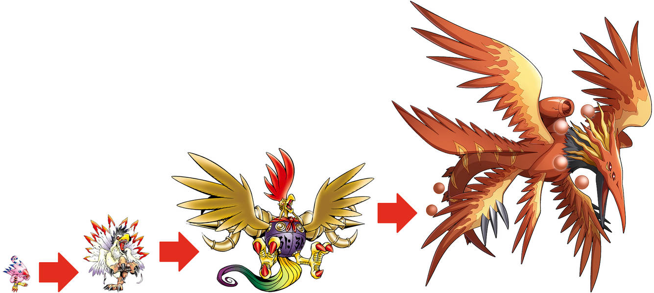 Perfect Evolutionary Lines - Piyomon by VilmonDigibits on DeviantArt