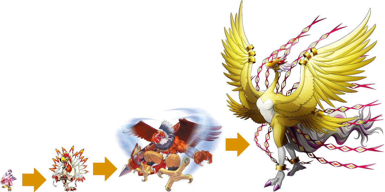 Perfect Evolutionary LIne - Piyomon by VilmonDigibits on DeviantArt