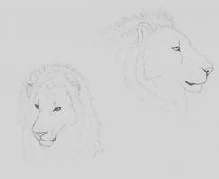 Lions - quick sketch