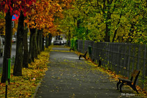 Autumn Alley