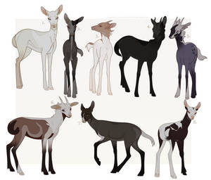 Teen Deer Adoptable Sheet - .closed.