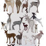 Humongous Deer adoptable sheet .closed.