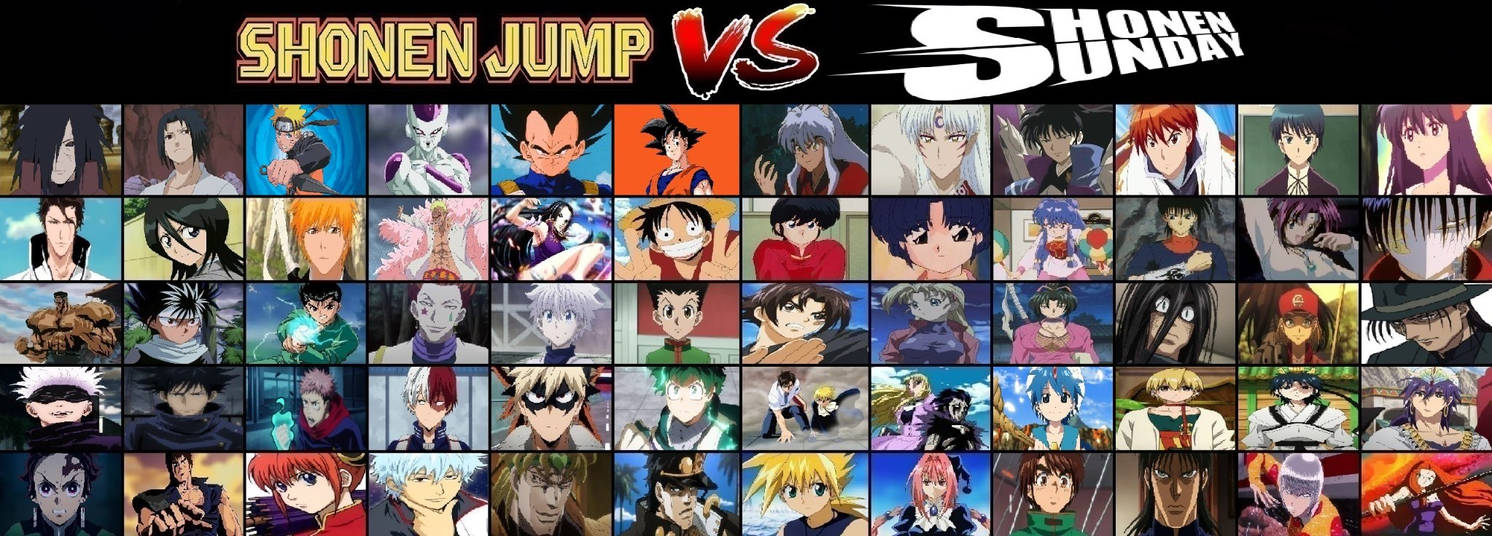 Since Everyone Is showing off their Shonen Fighter Rosters I would