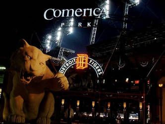 Comerica Park 2011