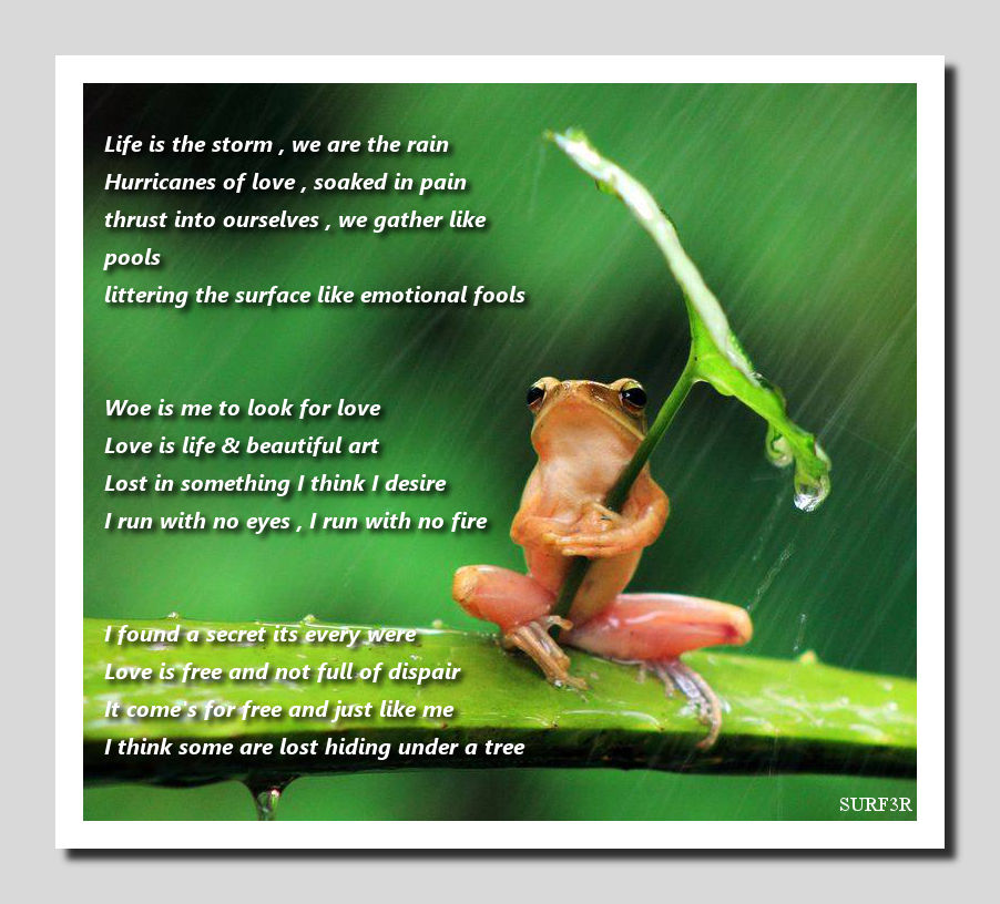 FROG ) I AM THE STORM THAT IS APPROACHING ! 