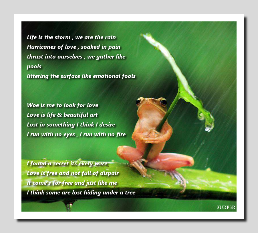 Frog Poem