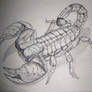 Scorpion study