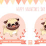 Happy Valentine's Day