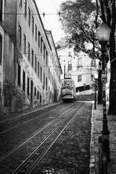 Lisboa street