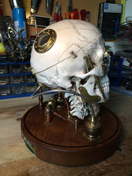 Revived fallen Steampunk Cyborg skull