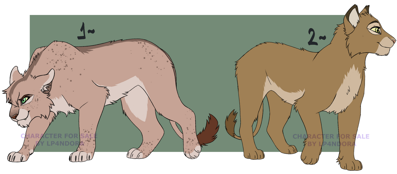 Lions Adopts Open 1 2 By Lp4ndora On Deviantart Lions Adopts Open 1 2 By Lp4ndora On Deviantart