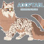 Cat Adoptable Auction Sold