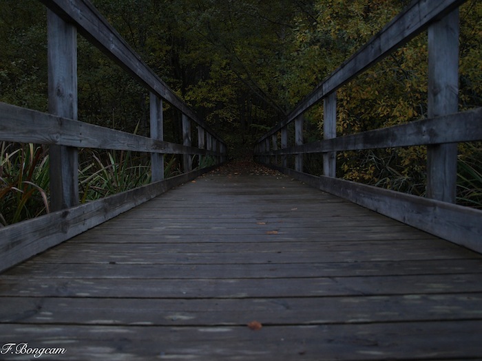 Spooky Bridge unedited