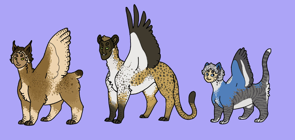 sphynx adopts - closed