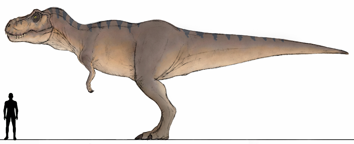 JPDinos: JP1 Female T-Rex WIP